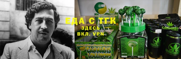 крисы Инта