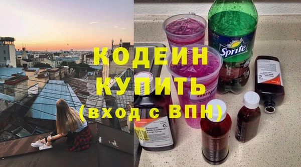 крисы Инта