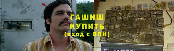 крисы Инта