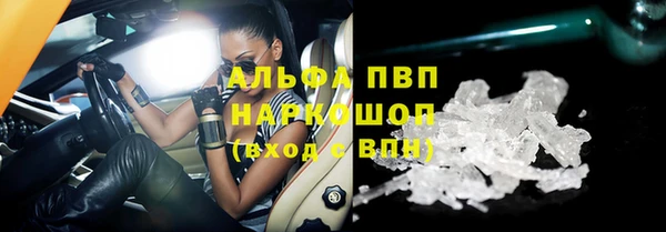 крисы Инта