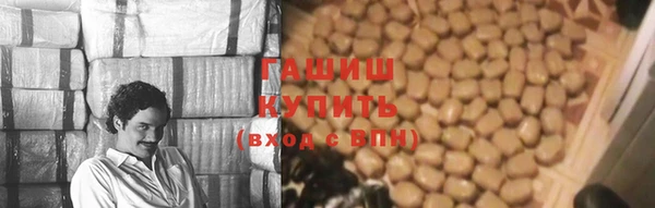 крисы Инта