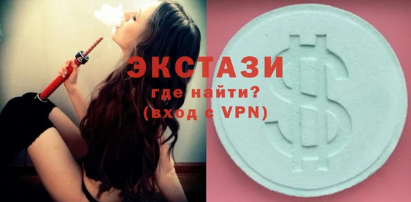 крисы Инта