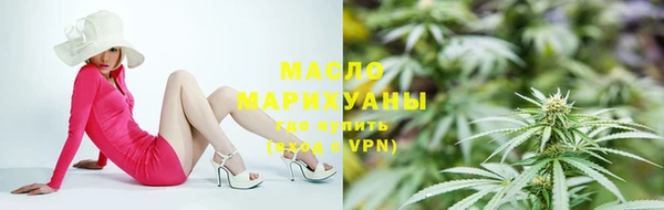 крисы Инта