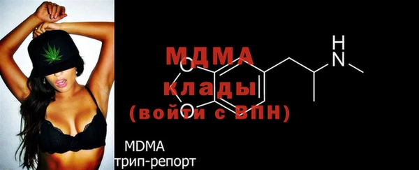 крисы Инта