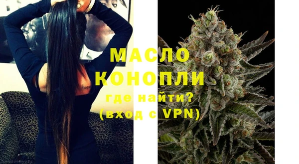 крисы Инта