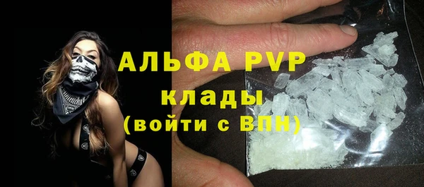 крисы Инта