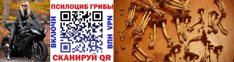 Псилоцибиновые грибы Magic Shrooms Лысково